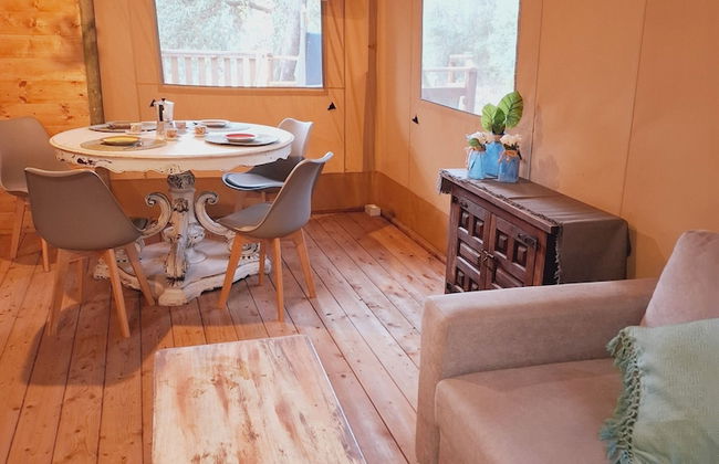 Serraiola Alta - Foto 43