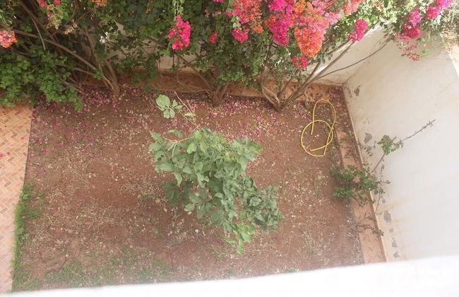 Complexe El Nahda 2 - Foto 14