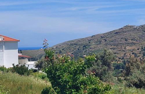 Palaiokrassa sunny appartment - Foto 30