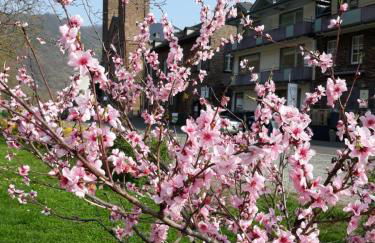 Ferienhaus Zenz - Ferienwohungen - Foto 64