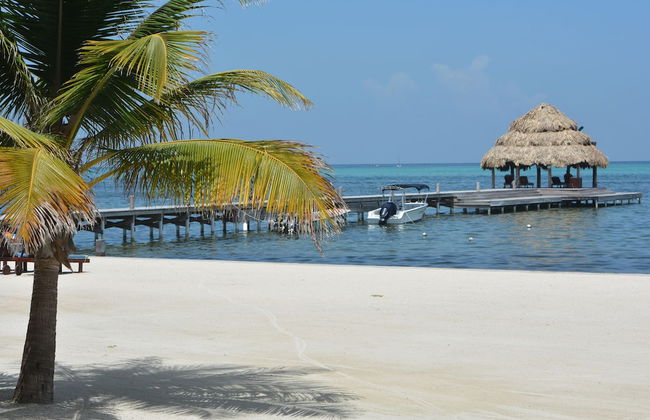 Xanadu Island Resort - Foto 65