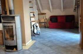 Ferienwohnung Ankerplatz - Foto 9