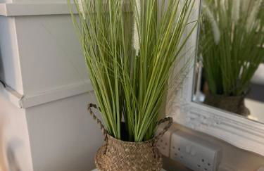 The Grange - Photo 13