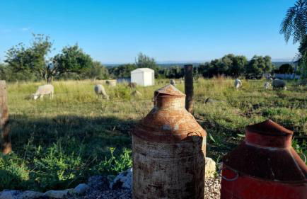 Pédebicho Serra da Arrábida Country Inn and Studios - Foto 49