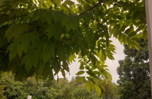 City Apartment Tübingen-Lustnau - Foto 5