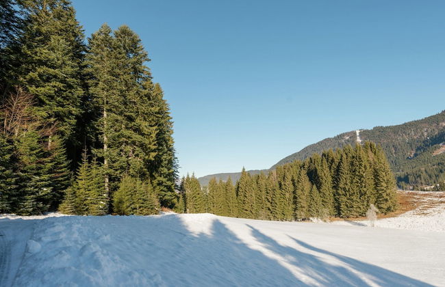 Spacious Chalet in Annaberg-lungotz With Sauna - Foto 32