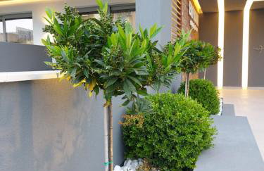 EUPHORIA ''Staying in Pleasure'' - Foto 8