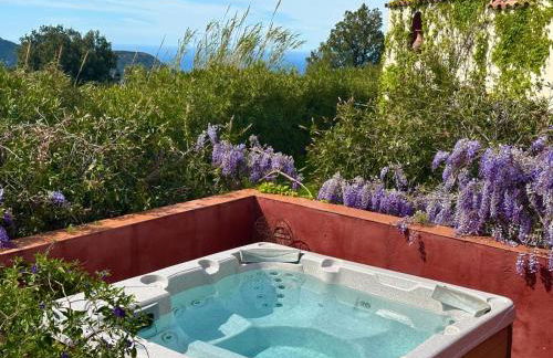 Domaine Victoria - Foto 18