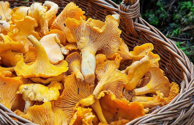 5 Person Holiday Home in Mellbystrand-by Traum - Foto 6