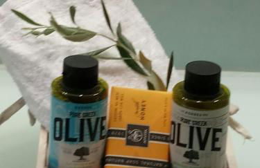 PRINCESS OF BLUE EAGLES RETREAT - Foto 37