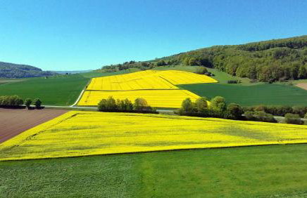 Huus-Weitblick - Foto 18