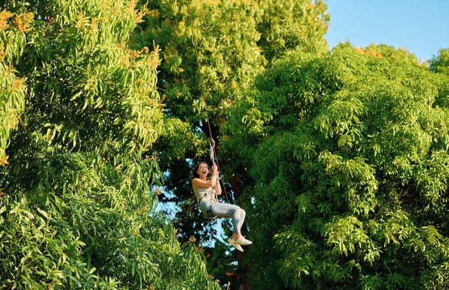 Home The Residence - Photo 55