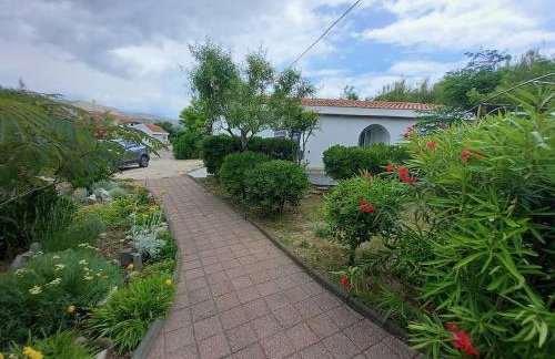 Apartmani Vanja - Photo 15