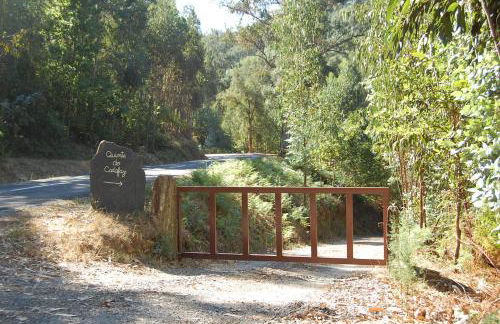 Casa de Campo "Quinta do Cadafaz" - Foto 3