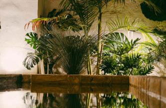 Masseria Gemini luxury retreat - Foto 43