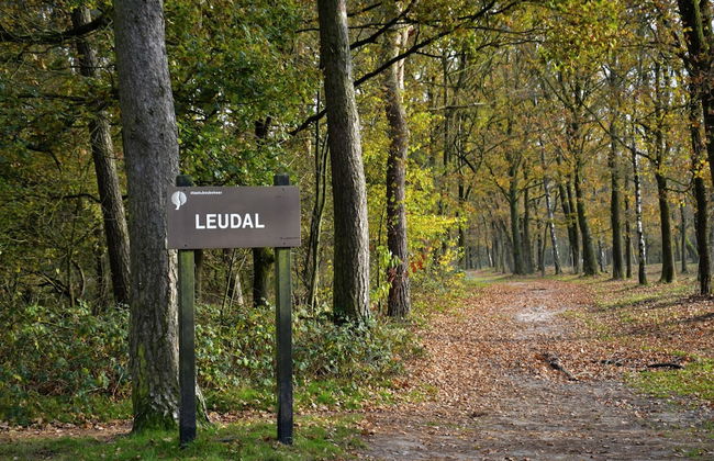 Pet-friendly Getaway - Photo 31