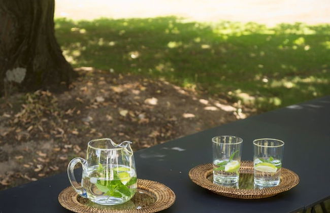 Casa de Santo António de Britiande - Foto 42