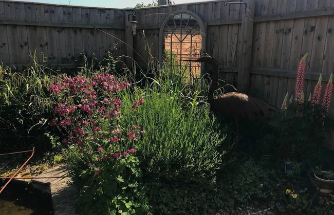 The Knox - Beautiful Two Bed Cottage Near Orford - Foto 22