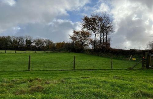 Woodland View at Hewish Mill - Foto 30