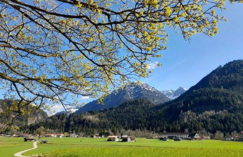 Haus Huber - Foto 31