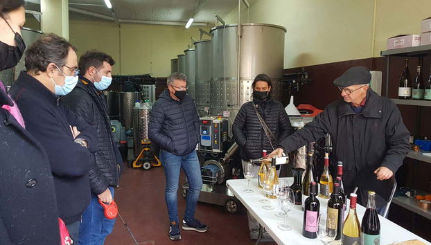 Priorat Winery Day Trip - Foto 2