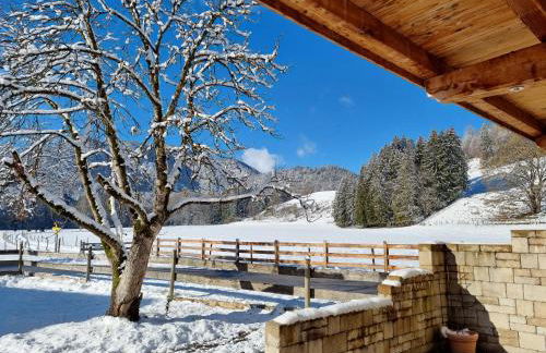 Kurzenwirt - Ferienwohnungen - Foto 6