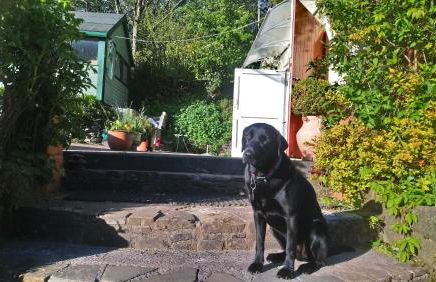 Laugharne Cottage Golwg Harddwch - Photo 25