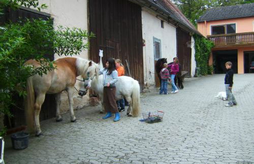Ferienhof Amslinger - Foto 6