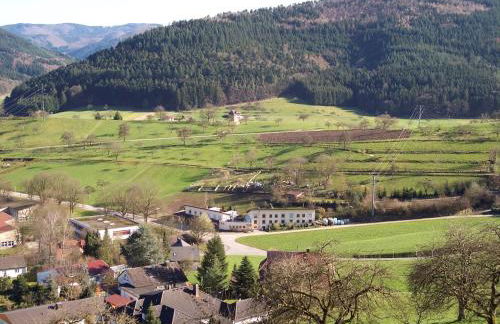 Cheerful Apartment near Historic City Center of Haslach - Foto 74