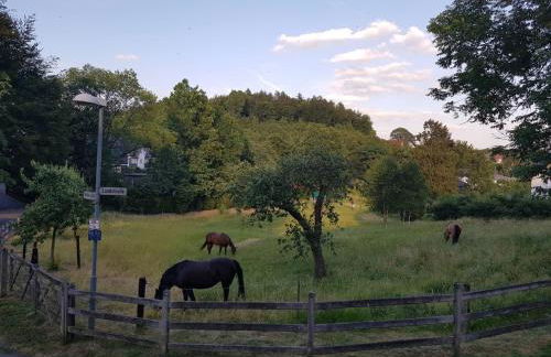 Ferienwohnung Drei Lilien - Foto 14