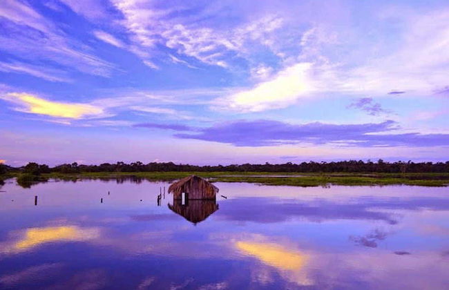 Tour por el lago do Maicá - Foto 3