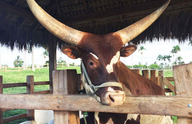 Eco Park Punta Cana Trip - Photo 9
