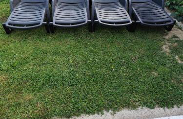 Zeleni raj - Foto 21