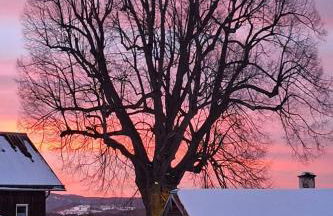 Holiday Home zur Linde by Interhome - Foto 24