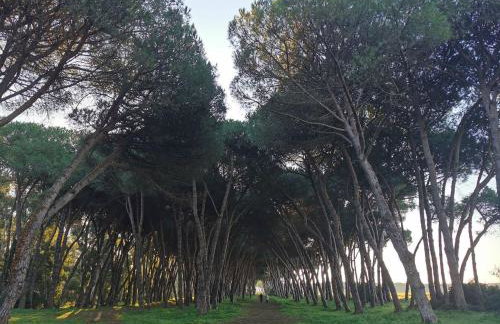 Mare, Roma e Aeroporto - Tutto a portata di mano - Foto 28
