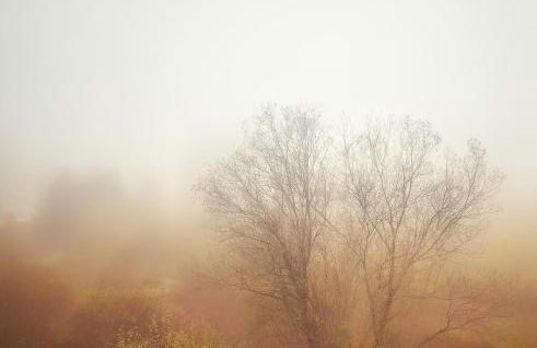 Le petit Fremis / 5 Kms des pistes / axe Nancy-Thann - Foto 12