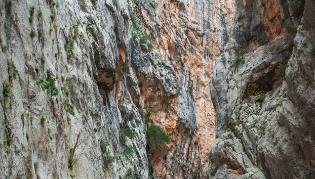 Le pareti della gola di Gorropu