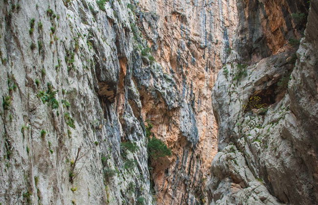 Trekking nel golfo di Orosei - Foto 3