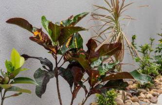 Bela Casa São Pedro/Búzios (Excelente Condomínio) - Photo 27