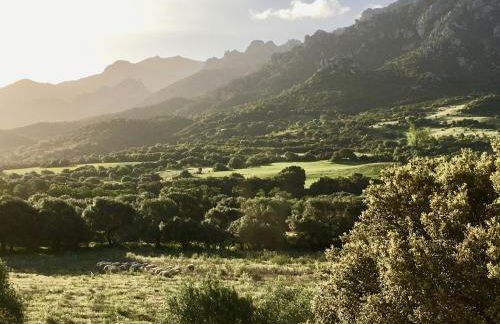 Agriturismo Asara - Foto 17