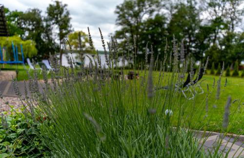 Zielony Domek Lubieszewo - Foto 8