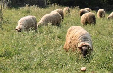 Casa Rural Sierra Salvada - Foto 41