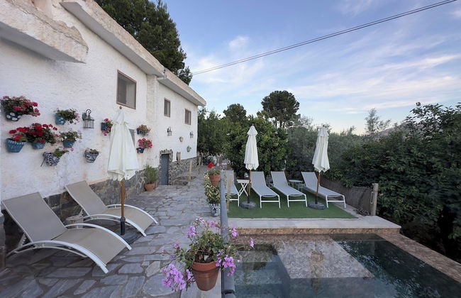 Finca Las Fuentezuelas - Photo 46