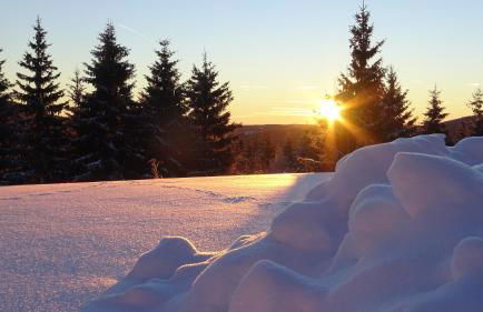 Extrablatt - Foto 10