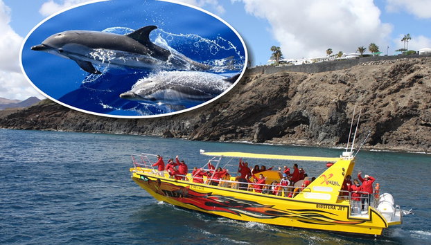 Puesta de sol y avistamiento de delfines - Foto 5