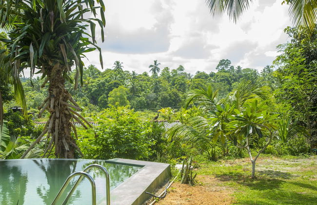 Meadow Villa - Galle - Photo 16