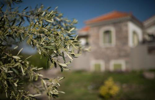 Moongarden - Foto 20