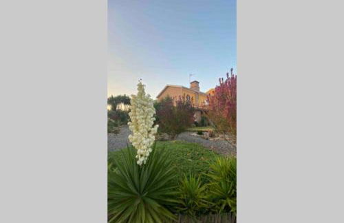 Casa Petroleiro - Foto 10