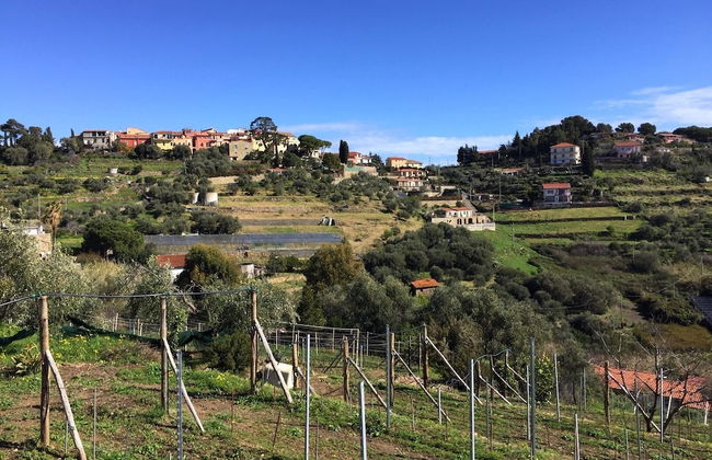 Agriturismo Uliveto Saglietto - Photo 65