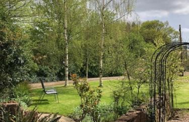 Burraton Cob - Foto 8